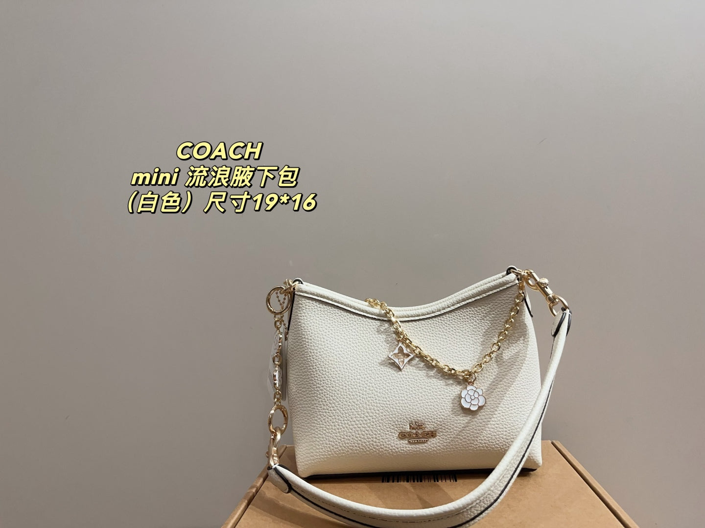 Coach Mini Hobo Underarm Bag
