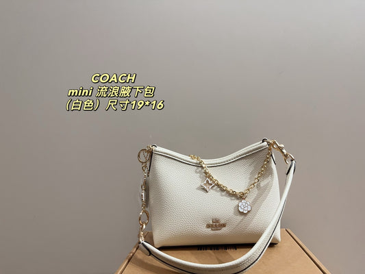Coach Mini Hobo Underarm Bag