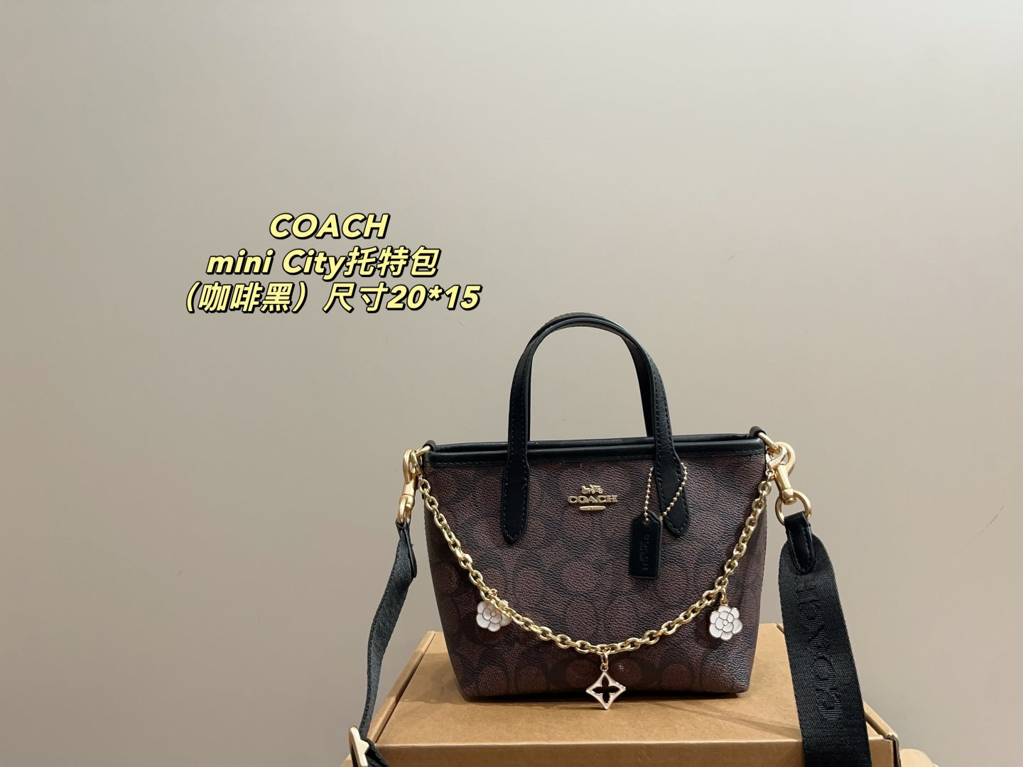 Coach City 15 Mini Tote Bag