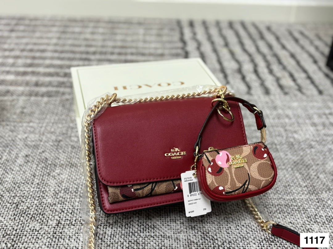 COACH Accordion Chain Bag