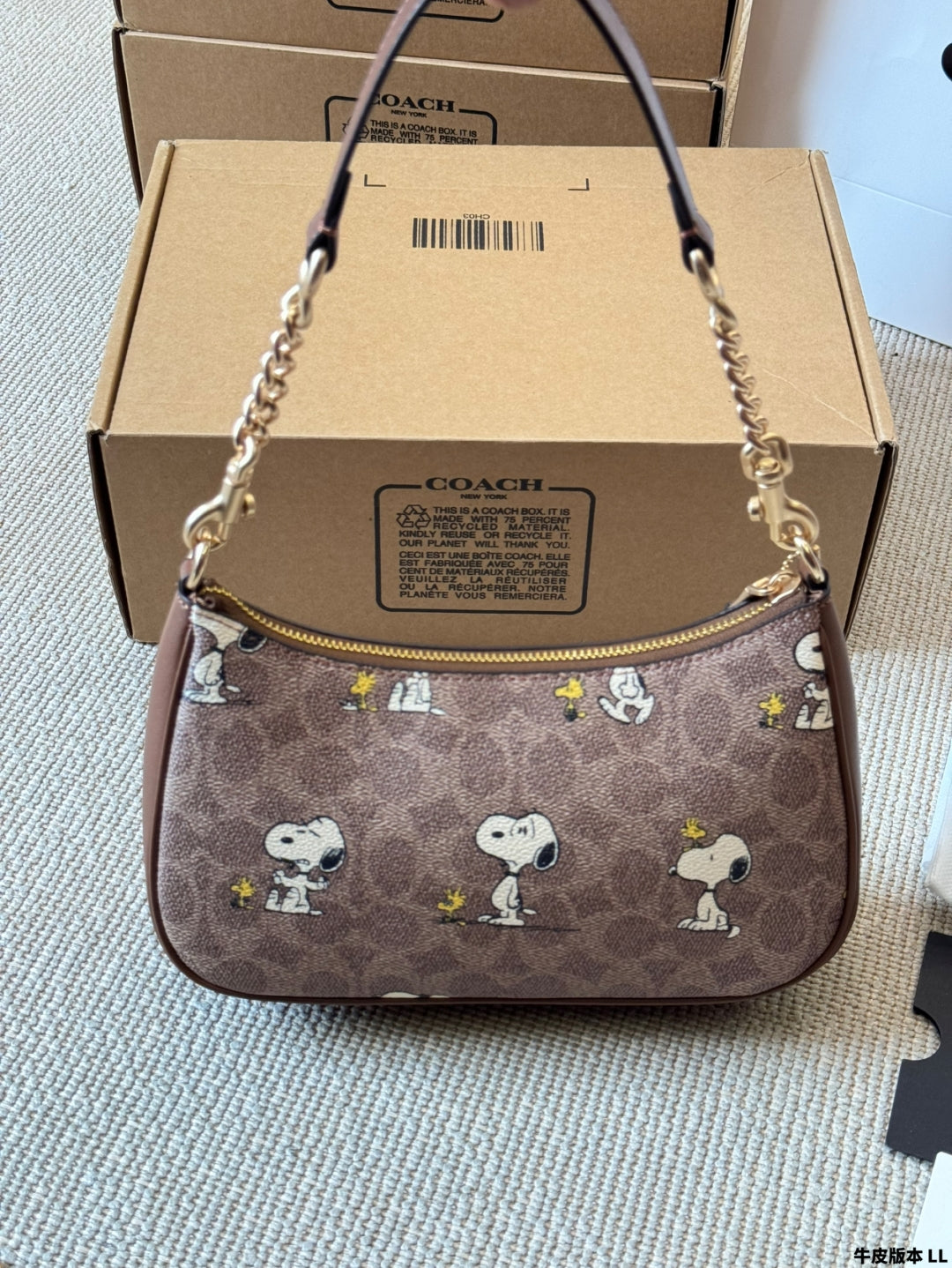 Coach Snoopy Underarm Bag
