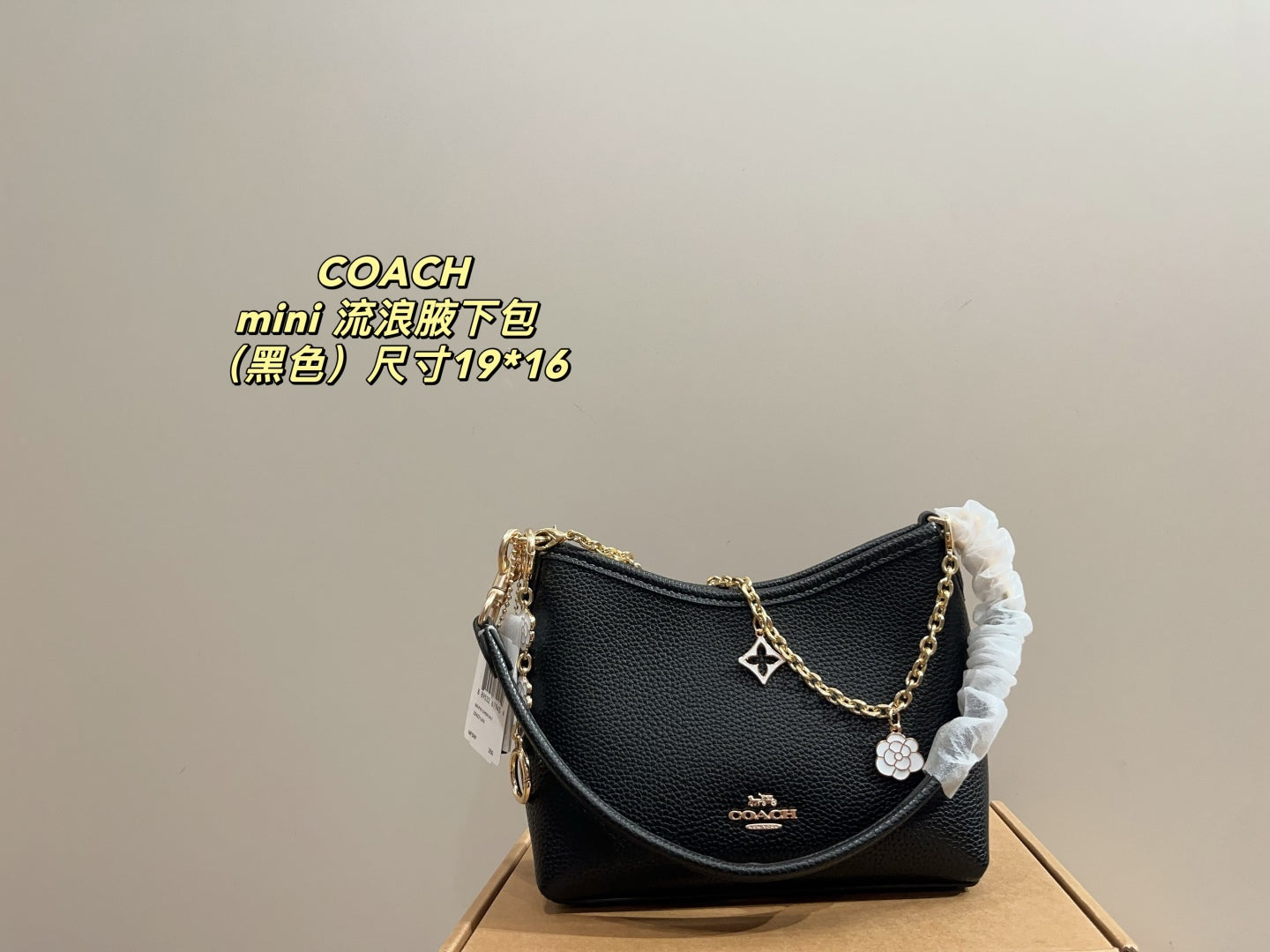 Coach Mini Hobo Underarm Bag