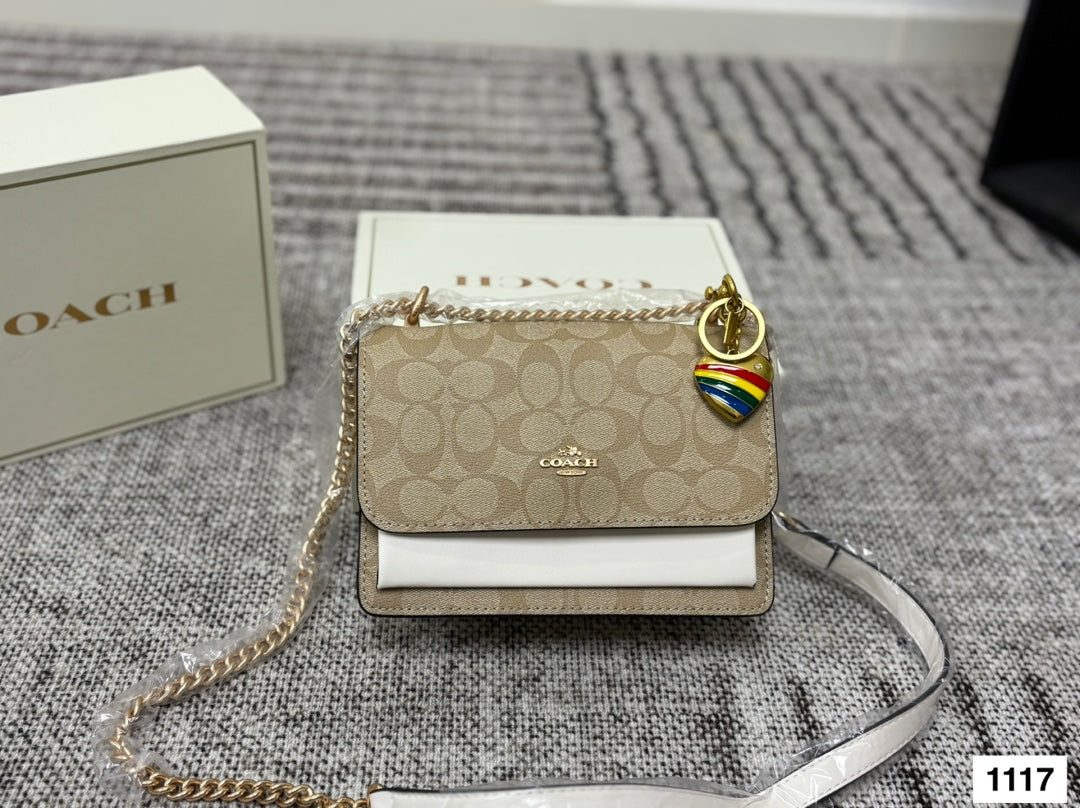 COACH Accordion Chain Bag