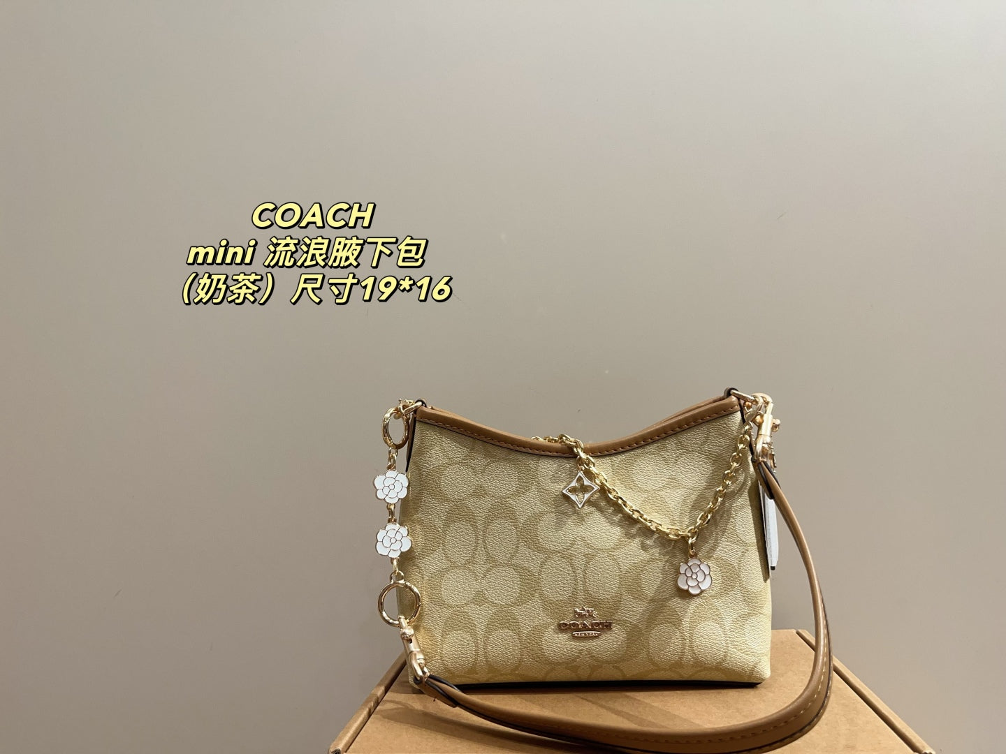Coach Mini Hobo Underarm Bag