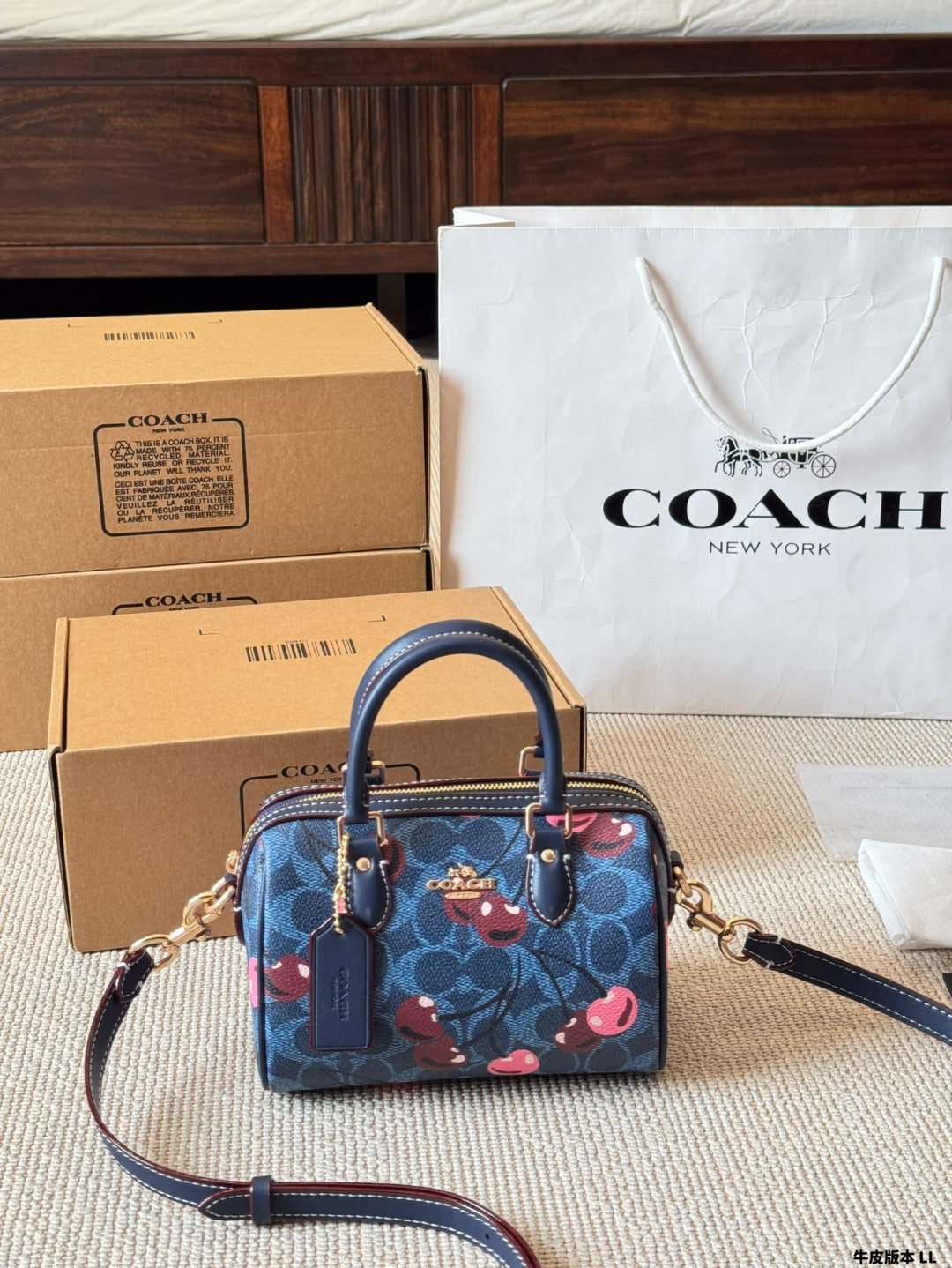 New Coach Mini Rowan