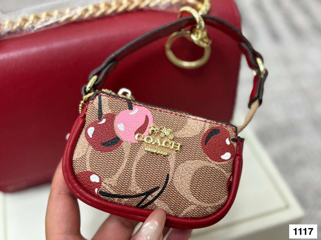 COACH Accordion Chain Bag