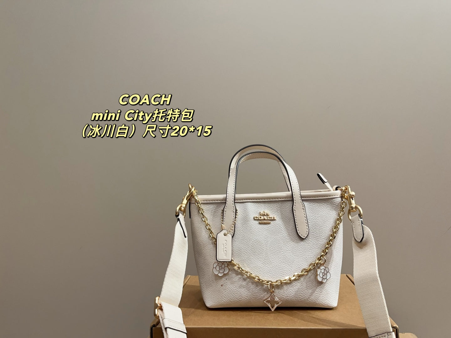 Coach City 15 Mini Tote Bag
