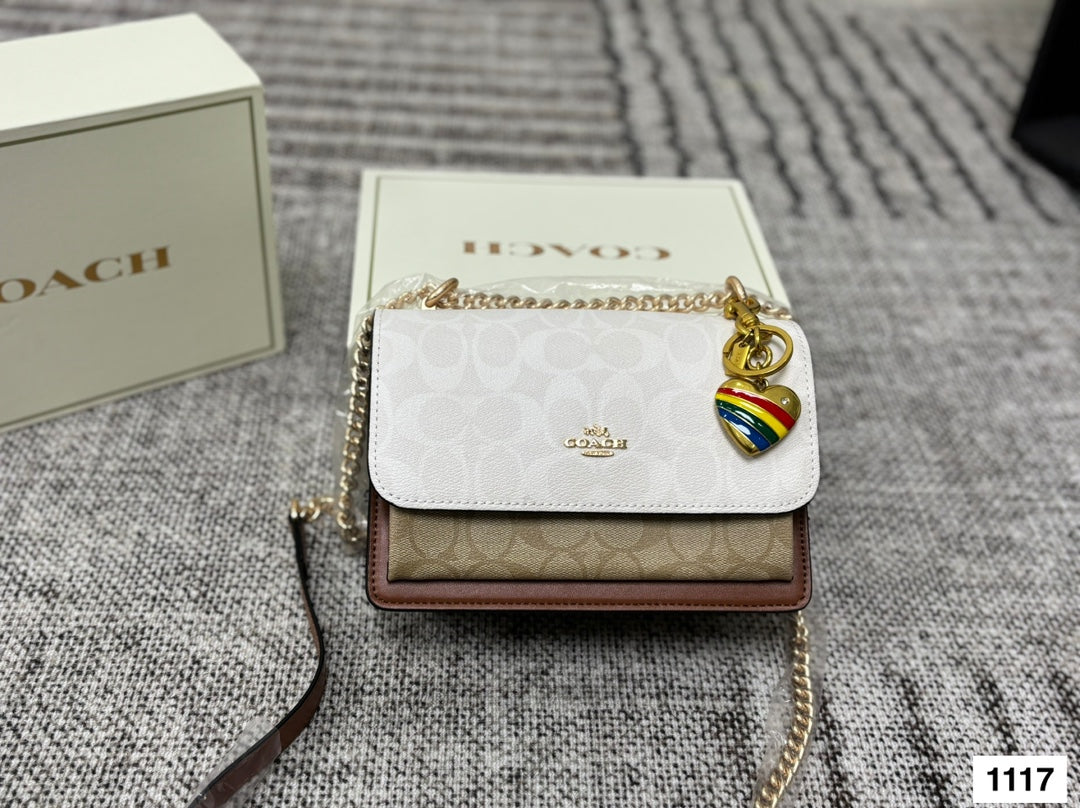 COACH Accordion Chain Bag