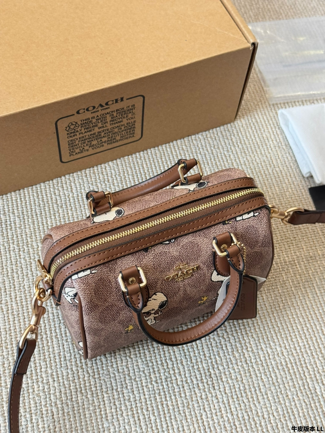 Coach Snoopy Original Pillow Bag