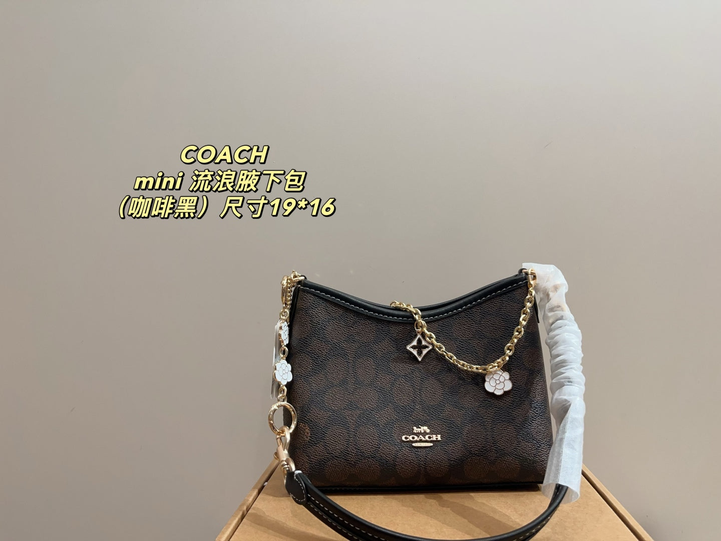Coach Mini Hobo Underarm Bag