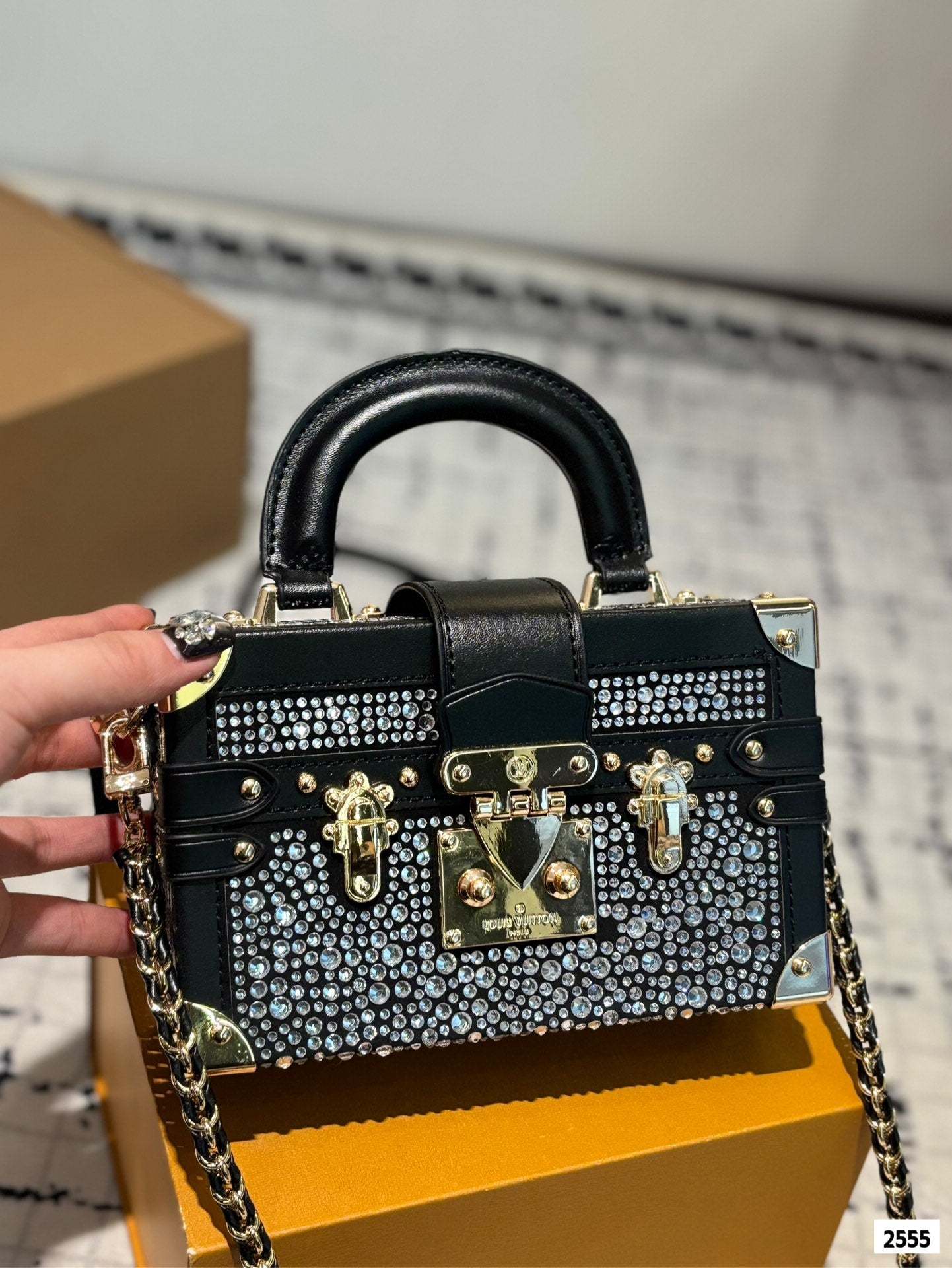 LV Small Hard Case Bag