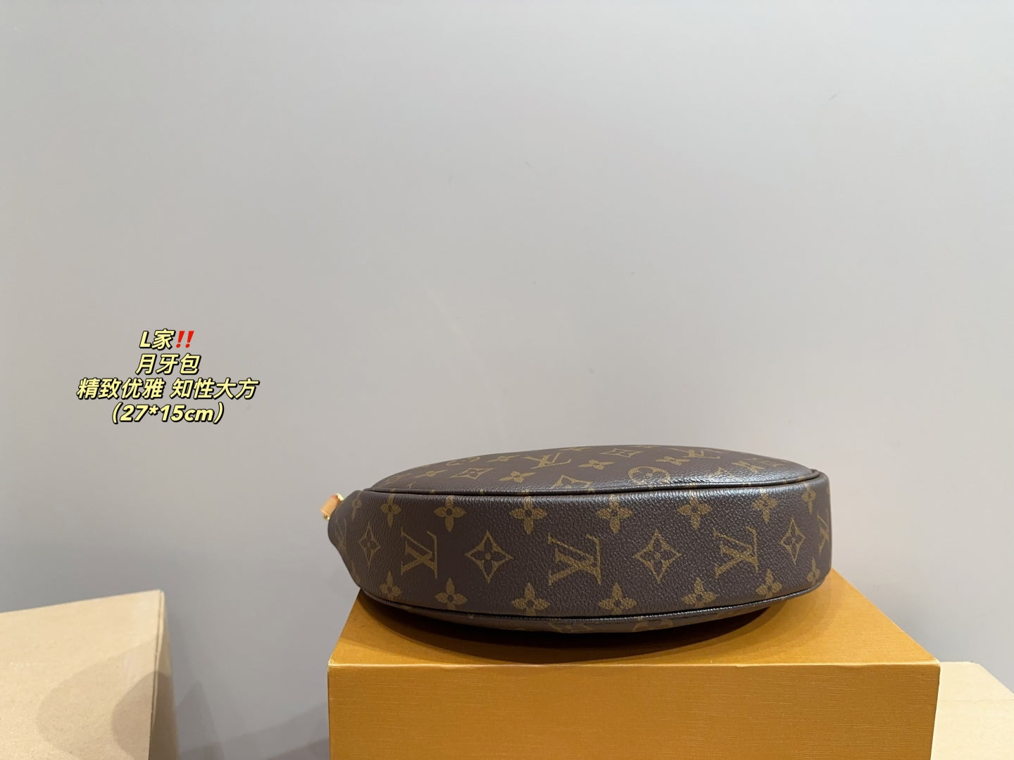 LV Carryall Crescent Bag