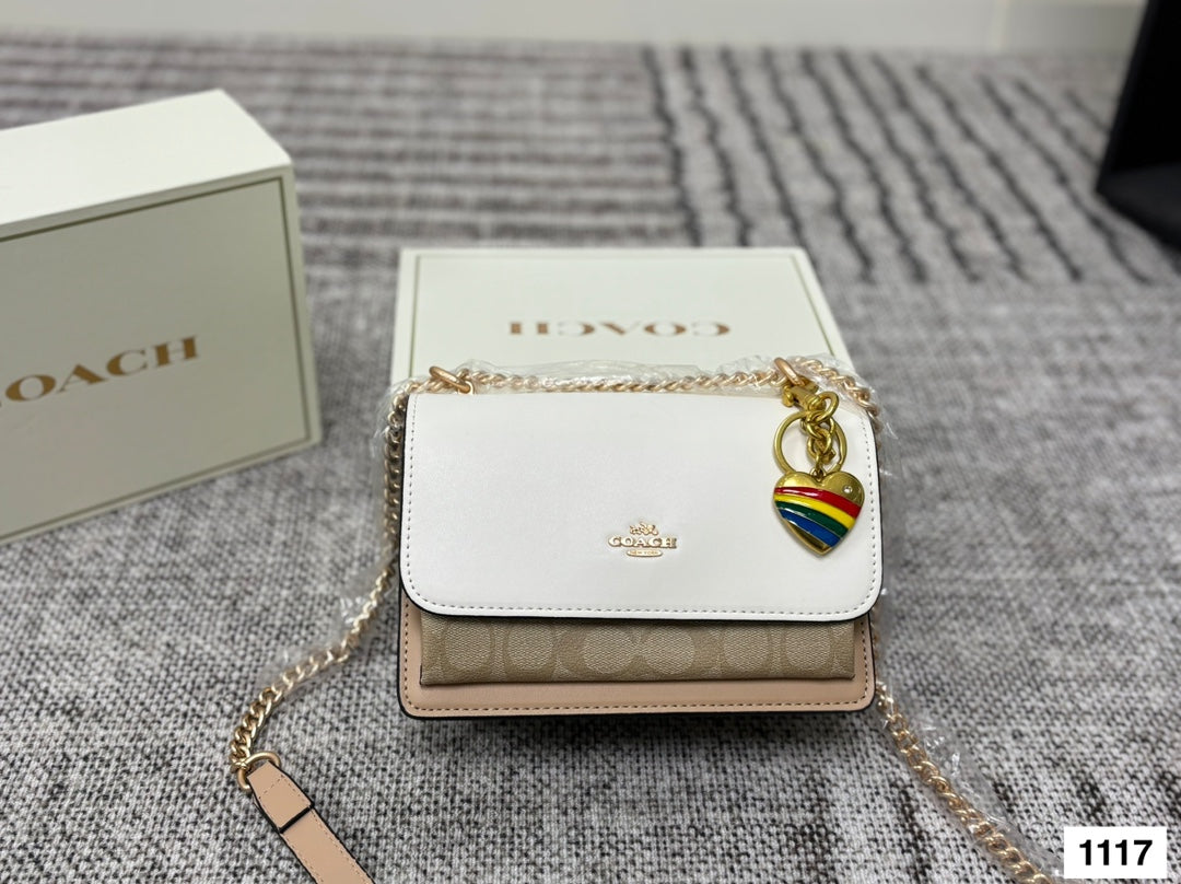 COACH Accordion Chain Bag