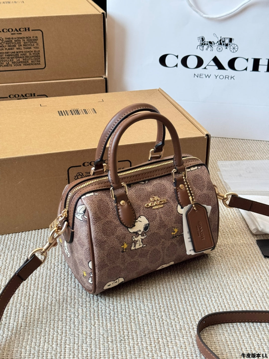 Coach Snoopy Original Pillow Bag