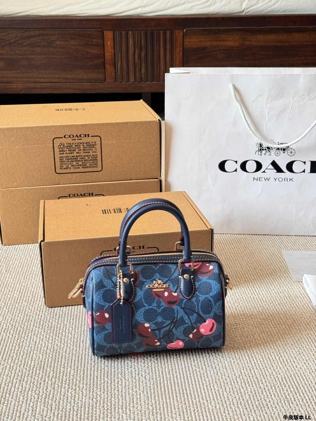 New Coach Mini Rowan