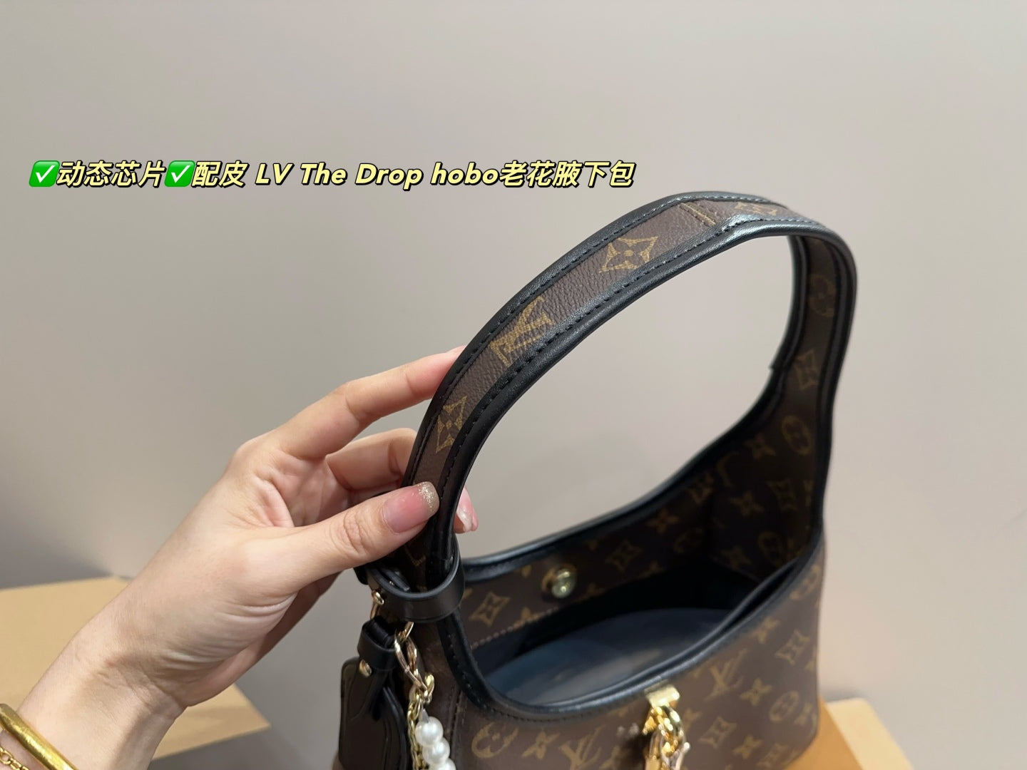 LV The Drop Hobo Monogram Underarm Bag