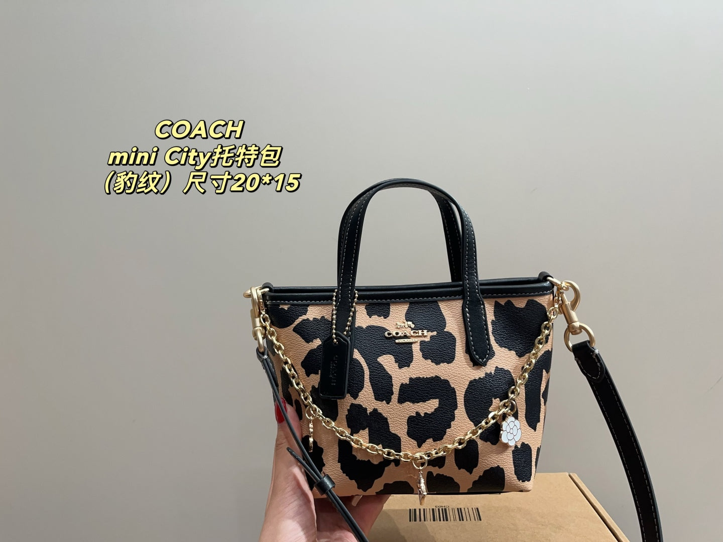 Coach City 15 Mini Tote Bag