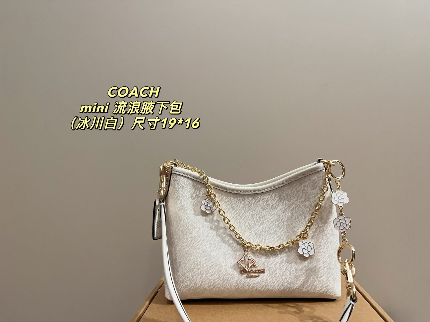 Coach Mini Hobo Underarm Bag