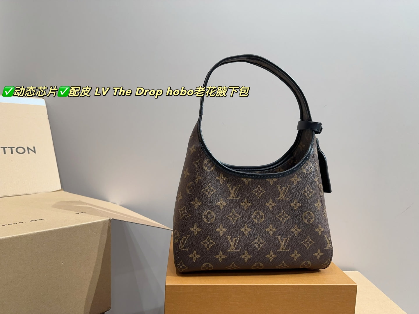 LV The Drop Hobo Monogram Underarm Bag