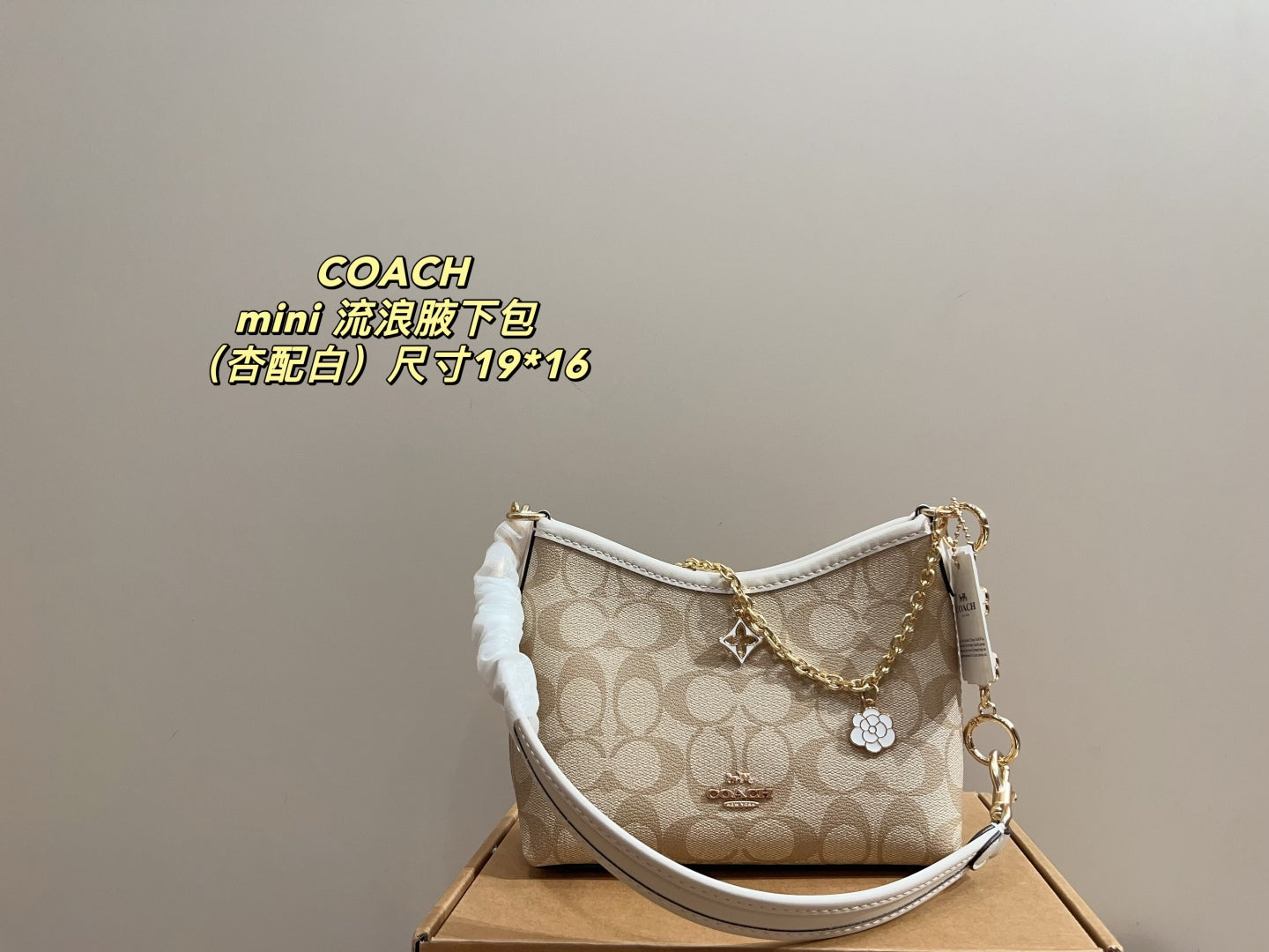 Coach Mini Hobo Underarm Bag
