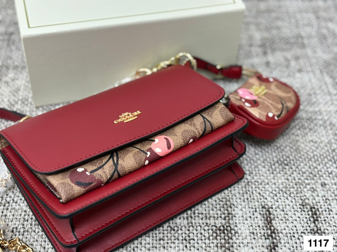 COACH Accordion Chain Bag