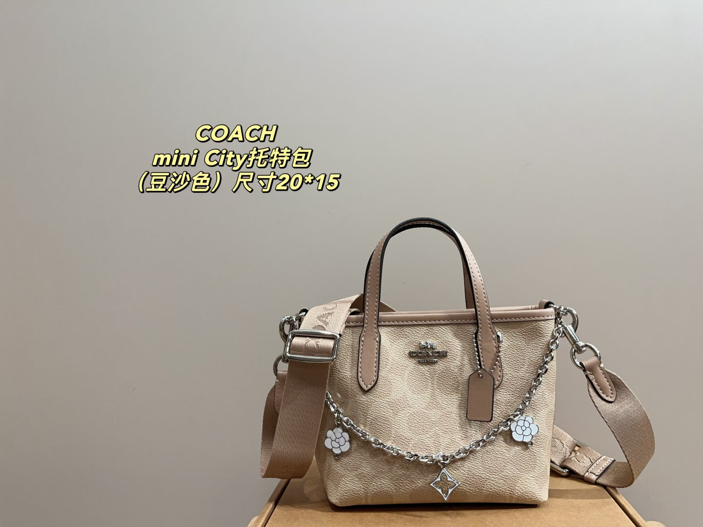 Coach City 15 Mini Tote Bag