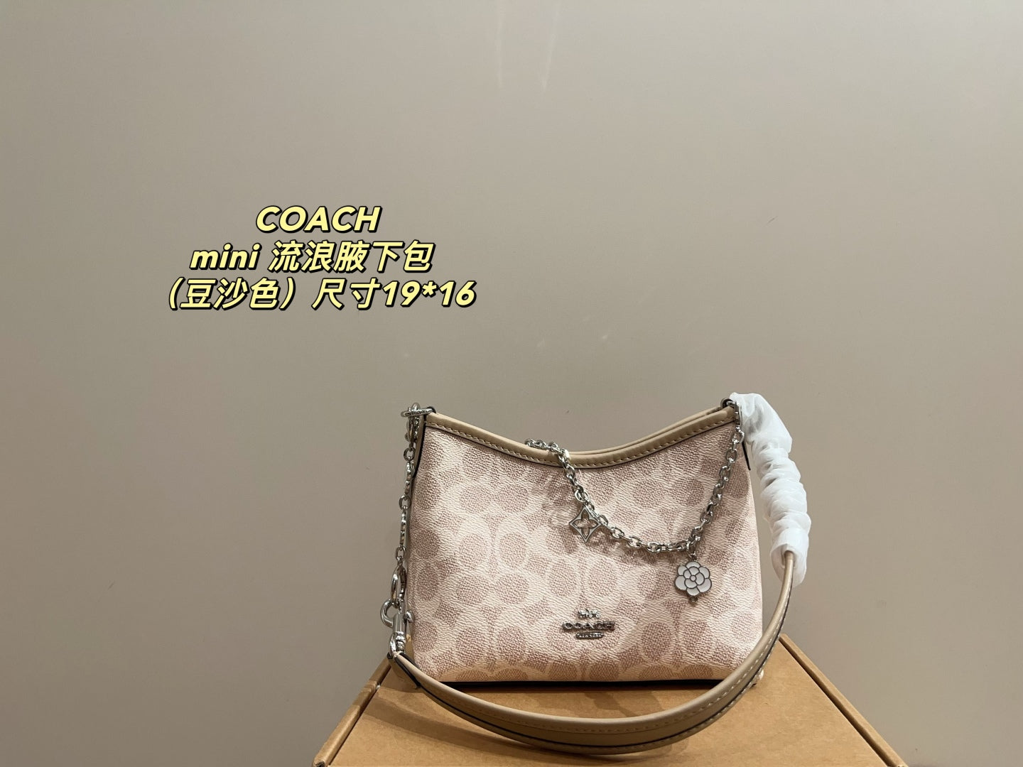 Coach Mini Hobo Underarm Bag