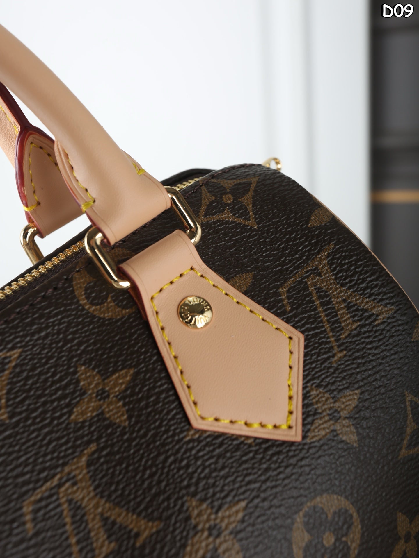 LV Speedy 20 Pillow Bag Handbag Shoulder Bag Crossbody Bag