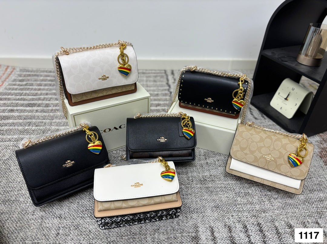 COACH Accordion Chain Bag