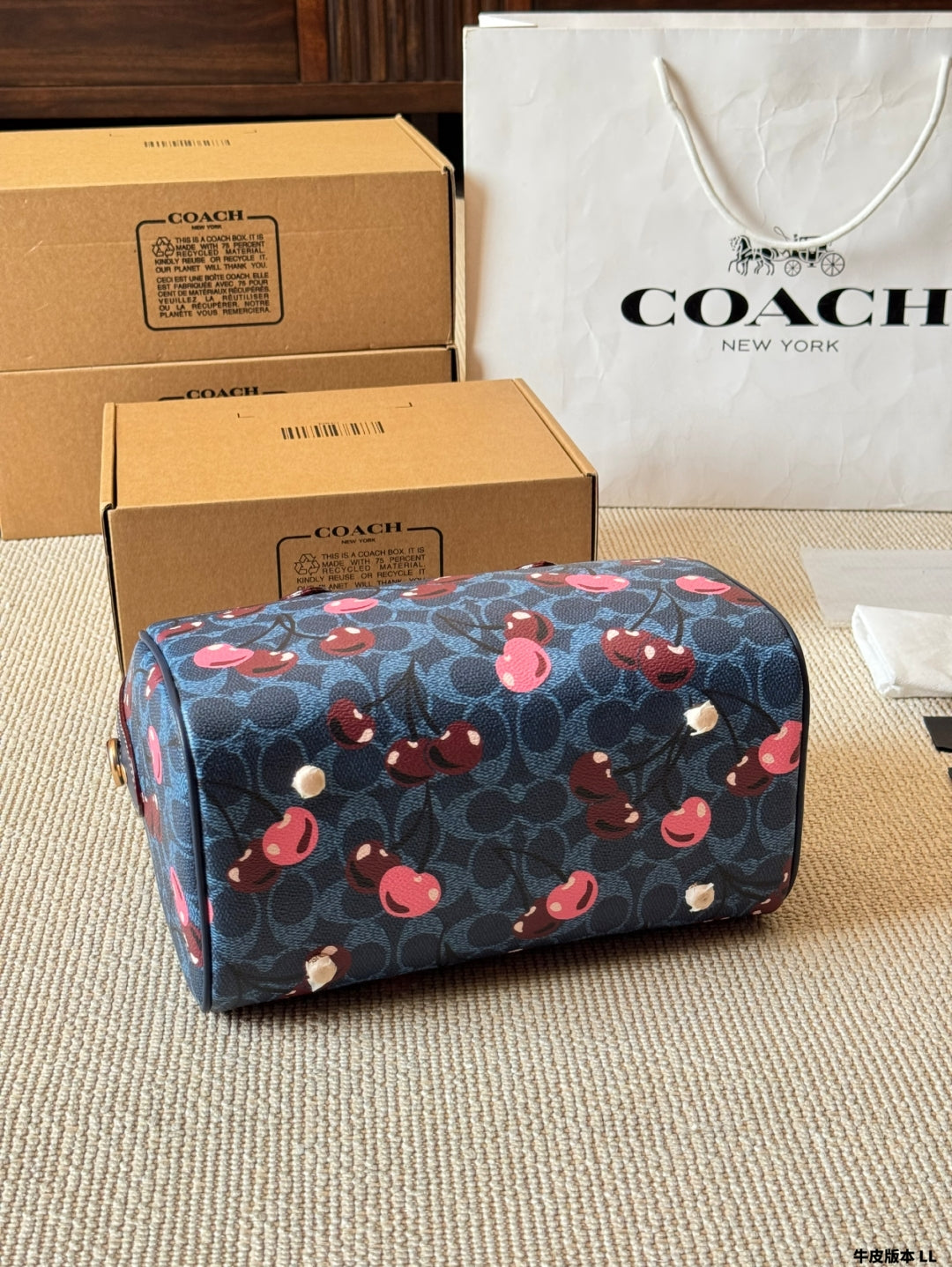 New Coach Mini Rowan