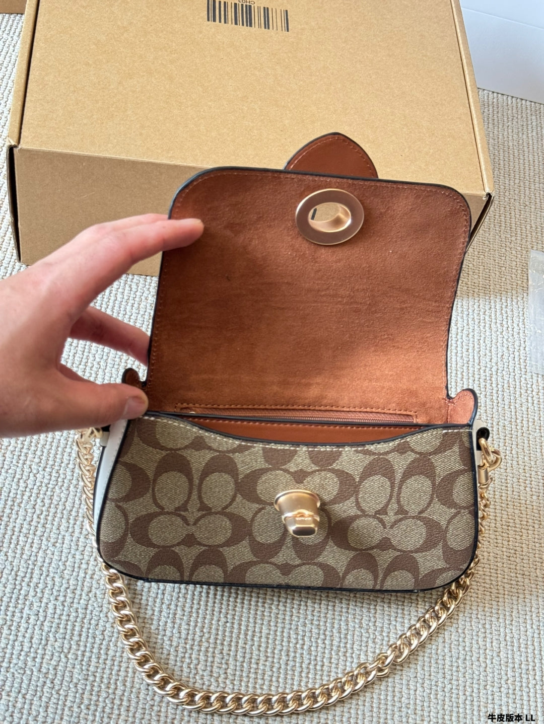 Coach Brie Turnlock Underarm Bag
