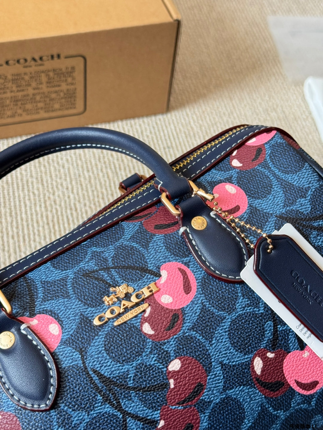 New Coach Mini Rowan