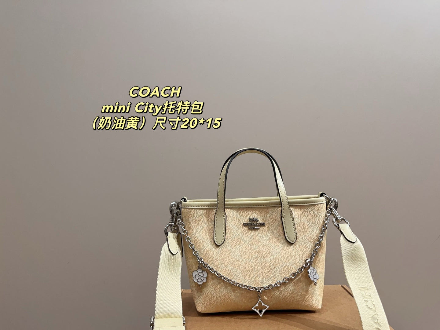 Coach City 15 Mini Tote Bag