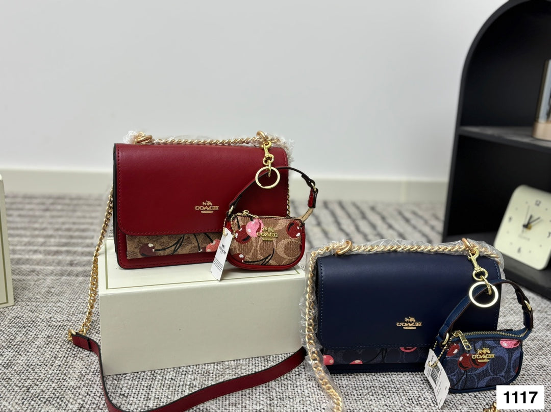 COACH Accordion Chain Bag