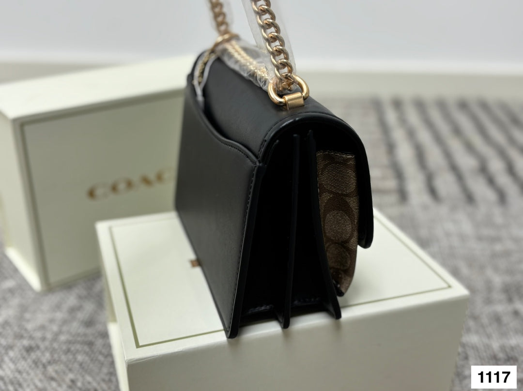 COACH Accordion Chain Bag