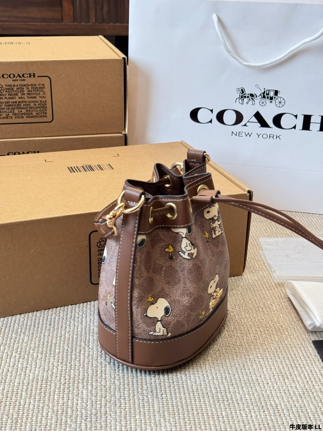 COACH Dempsey Snoopy