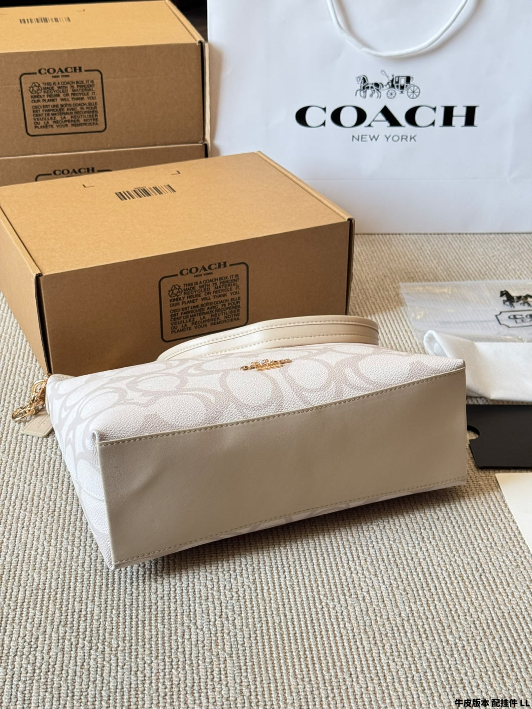 COACH Laurel Hobo Bag