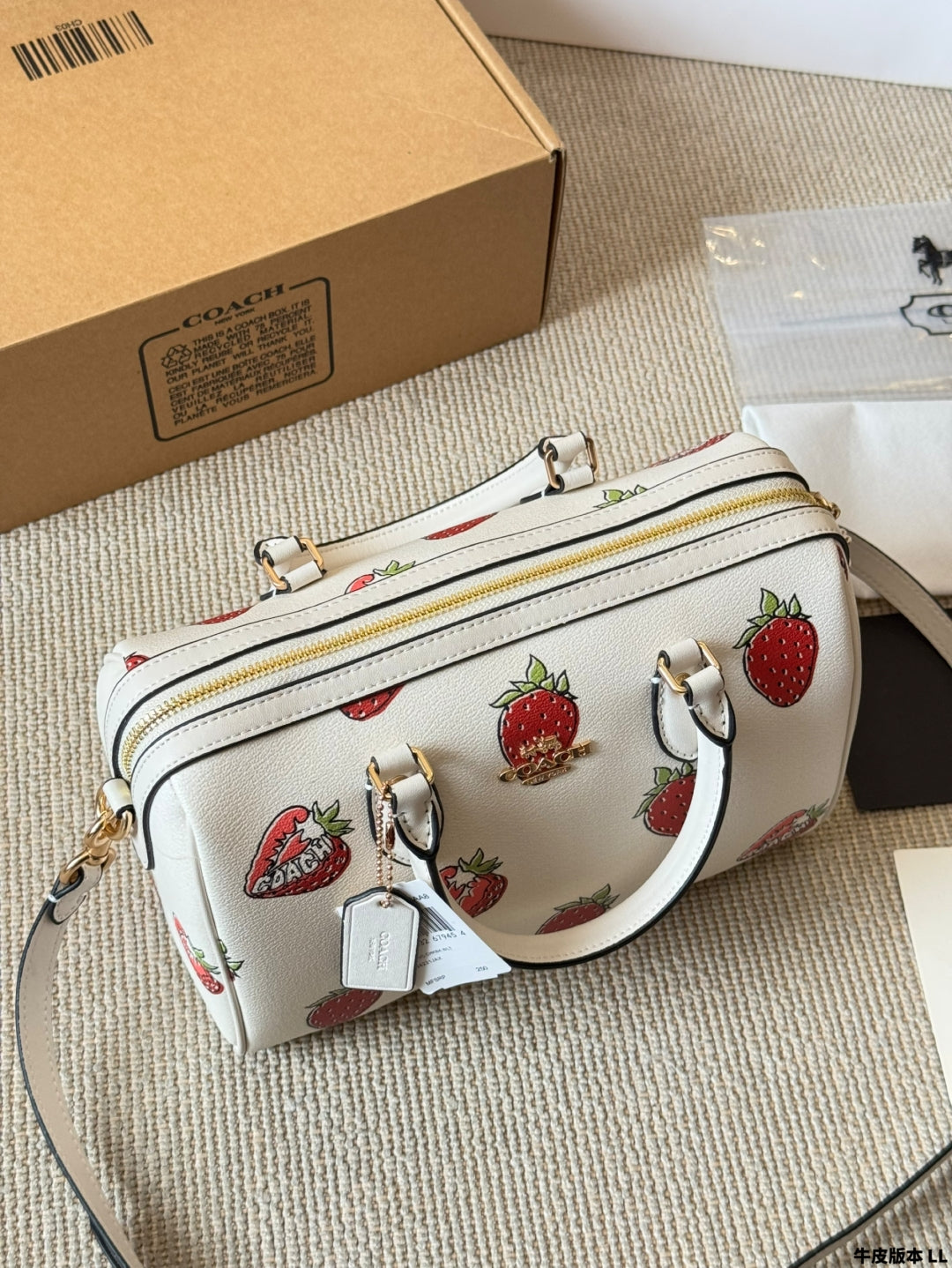 Coach 🍓mini Rowan Pillow Bag