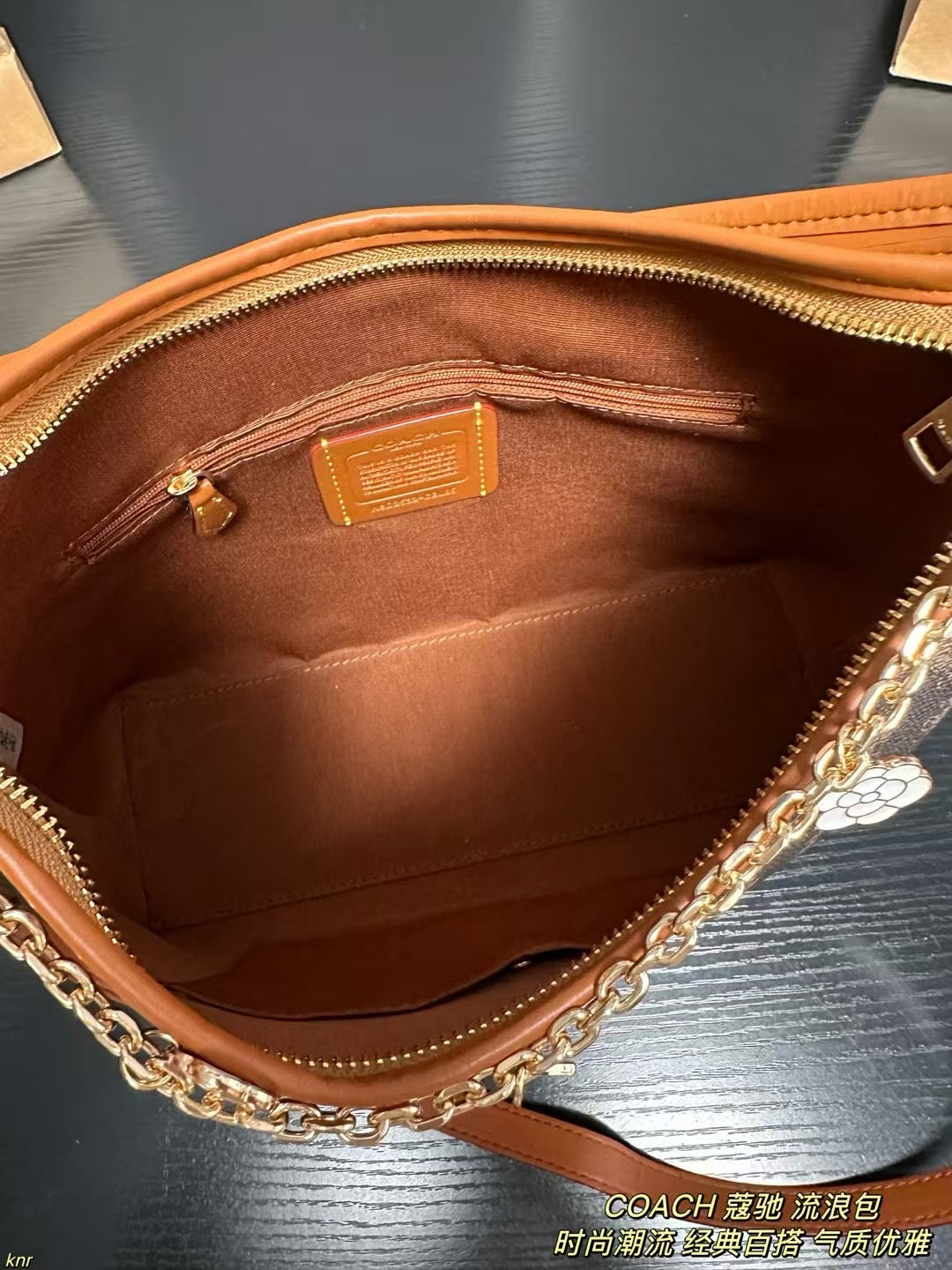 COACH Hobo Bag