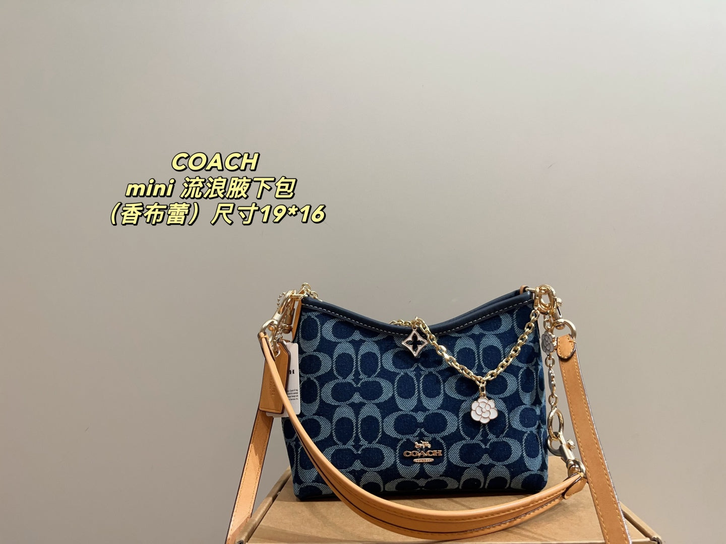 Coach Mini Hobo Underarm Bag