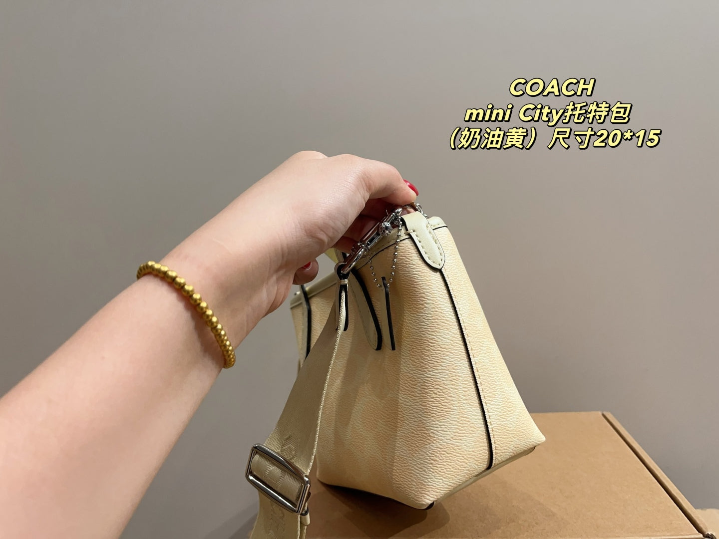 Coach City 15 Mini Tote Bag